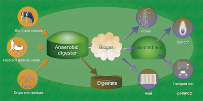 Biogas production schematic