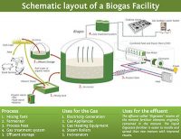 Biogas Production - Organic Waste to Energy - Envitech International